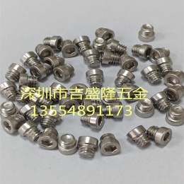 不锈钢螺丝                       