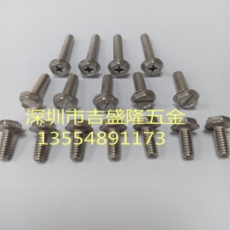 不锈钢螺丝                     