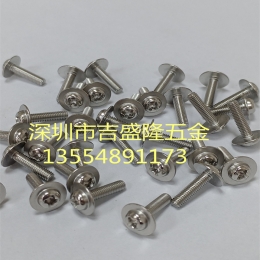 不锈钢螺丝      